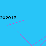 202016